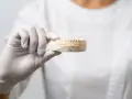 Gipsowy model szczęki w rękawiczce. Zastanawiasz się nad ceną?